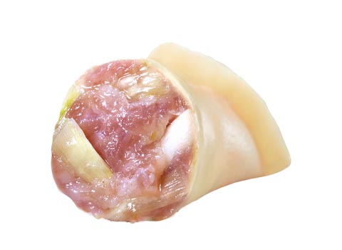 大葱鲜肉饺